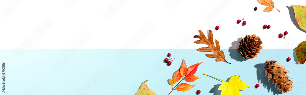 Colorful autumn leaves with pinecones overhead view - flat lay - obrazy, fototapety, plakaty 