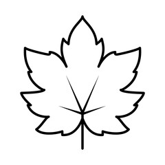 Wall Mural - maple leaf icon, line style