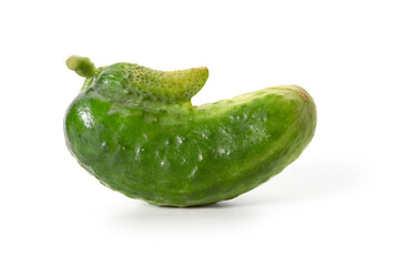 unusual vegetables. two fresh cucumbers have merged. front view. full depth of field. with clipping 