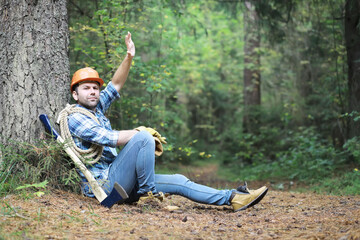 Wall Mural - Male lumberjack in the forest. A professional woodcutter inspects trees for felling.