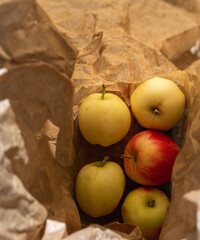 Wall Mural - Green and red apples placed in a environment friendly paper bag