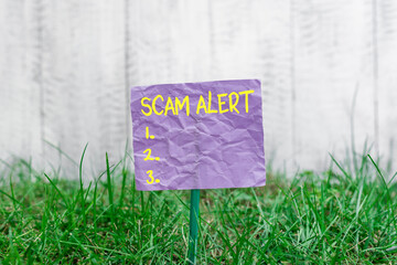 Poster - Conceptual hand writing showing Scam Alert. Concept meaning unsolicited email that claims the prospect of a bargain Plain paper attached to stick and placed in the grassy land