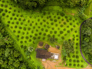 Canvas Print - Aerial shot of a beautiful green farmland with lots of trees and fields