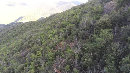 Sticker - Paysage de montagne dans les Cévennes, vue aérienne