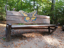 Wooden Bench In The Woods