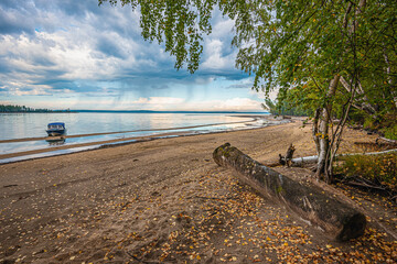 Wall Mural - dramatic autumn landscape with clouds, sandy river bank with fallen leaves and a boat.