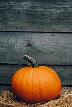 Fresh Pumpkin On Wood Background. Halloween And Thanksgiving