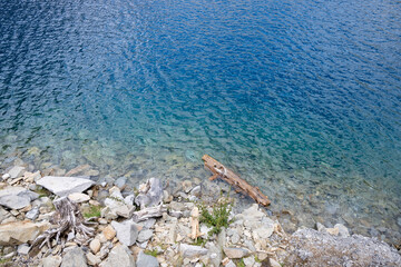 Healing cobalt blue waterside and driftwood 02