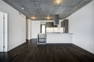  Real estate photography - Beautiful empty brand new apartment in an apartment building with bathroom, new kitchen, new floors, all white painted