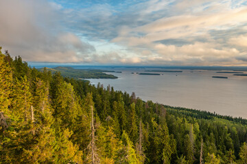 Wall Mural - Beautiful nature landscape in Koli national park in Finland