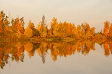 Autumn bright forest reflected in water of lake. Colorful autumn morning landscape. Concepts: season, peaceful, idyllic