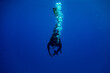 Scuba diver entering water in a vertical position making bubbles
