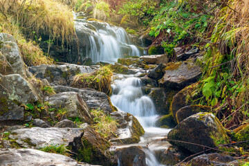 Canvas Print - Little waterfall in the mountains