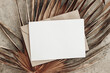 © tabitazn - Summer stationery still life. Closeup of blank card mock-up and craft envelope on dry palm leaf. Grunge beige concrete background. Flat lay, top view. Tropical vacation concept. Moody boho design.