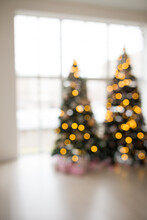 Blurred Background. Two Elegant Christmas Trees In A Bright Room. New Year's And Christmas