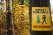 Ścinka drzew tablica informacyjna zawieszana na drzewie przy wykonywaniu prac leśnych