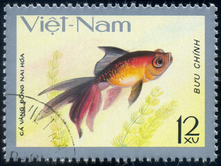 Wall Mural - fish Dong Nai Hoa (Carassius auratus), fish tank fauna, circa 1977