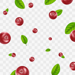 Poster - Realistic Detailed 3d Red Cranberry Berries Seamless Pattern Background. Vector