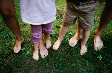 Wall Mural - bare feet of family with small children standing barefoot outdoors in nature, grounding concept.