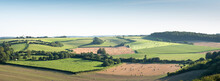 Landscape With Cornfields And Meadows In Regional Parc De Caps Et Marais D'opale In The North Of France