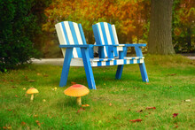 Wooden Armchairs On A Green Lawn In The Autumn.