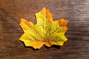 Sticker - Autumn maple leaf