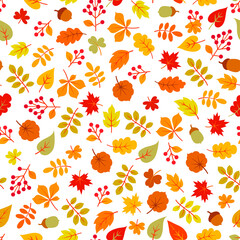 Wall Mural - Autumn leaves seamless pattern. Leaf icon set in ornamental tile background. Fall nature backdrop in line art style.