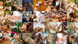© master1305 - Collage of hands of young friends, colleagues during beer drinking, having fun, clinking bottles, glasses together. Collage design. Oktoberfest, friendship, togetherness, happiness, holidays concept