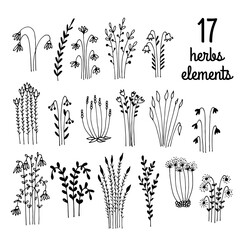 Poster - Herbs and flowers vector sketch collection, isolated on white background