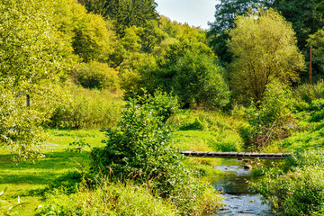 Canvas Print - Parkcharacter am Oberlauf des Dörsbaches