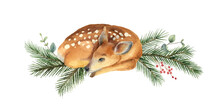 Watercolor Vector Christmas Card With Fawn And Fir Branches.