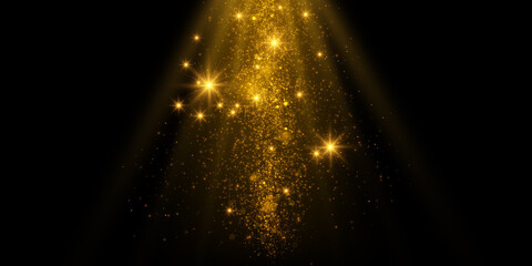 Wall Mural - Transparent golden light effect. Magical sparkles isolated on black background.