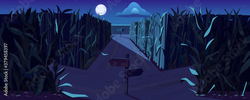 Fotomural Road on cornfield with fork and direction signs at night