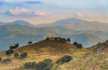 Wall Mural - mountains and hills landscape with trees and bushes