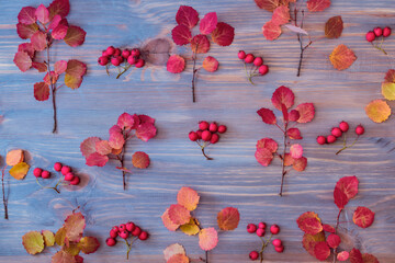 Flat lay pattern with colorful autumn leaves and red berries on a wooden background