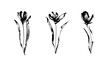 Set of three hand drawn flowers with leaves. Black isolated sketch botanical vector illustration on white background. Floral brush ink painting collection