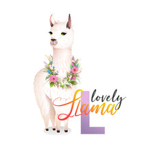 Letter L Is For Llama. Cute Animal Letters Alphabet For Children Education Project. Llama With Flowers Wreath Decoration, For Kids Study. Vector Isolated Zoo ABC Cartoon.