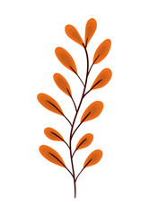 Wall Mural - Isolated orange leaf vector design