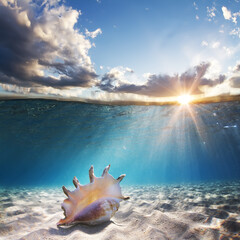 Wall Mural - sky and sea water divided by waterline. ocean aquatic nature design. tropical shining waters