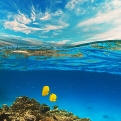 Wall Mural - sky and sea water divided by waterline. ocean aquatic nature design. tropical shining waters