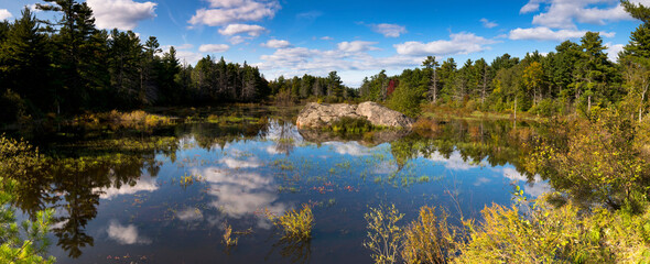 Wall Mural - autumn and fall landscapes in rural ontario canada just within the boundaries of puzzle lake provinc
