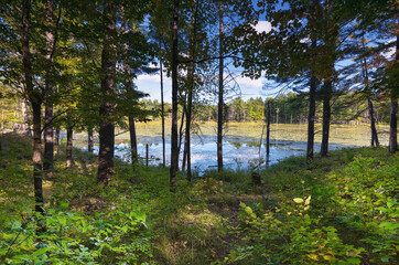 Wall Mural - autumn and fall landscapes in rural ontario canada just within the boundaries of puzzle lake provinc