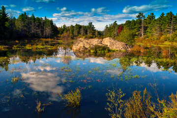 Wall Mural - autumn and fall landscapes in rural ontario canada just within the boundaries of puzzle lake provinc