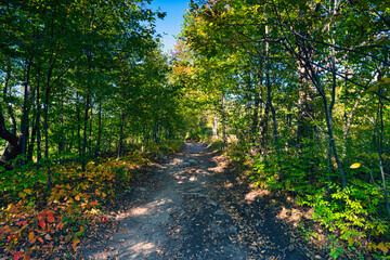 Wall Mural - autumn and fall landscapes in rural ontario canada just within the boundaries of puzzle lake provinc