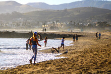 People Walking And Relaxing On The Beach With A Flock Of Seagulls And Ocean Waves Rolling In At Dusk At Marina Park Beach In Ventura California