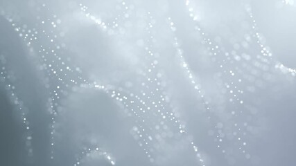Wall Mural - Elegant clean white particle polka dot texture background. White particles that float for business themes or beauty product presentations.