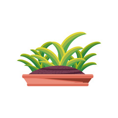 Poster - plants inside pot detailed style icon vector design