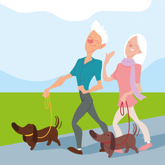 Poster - elderly couple walk their dogs in the park, active seniors