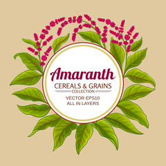 Wall Mural - amaranth vector frame