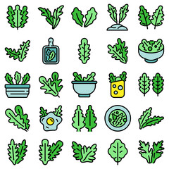 Poster - Arugula icons set. Outline set of arugula vector icons thin line color flat on white